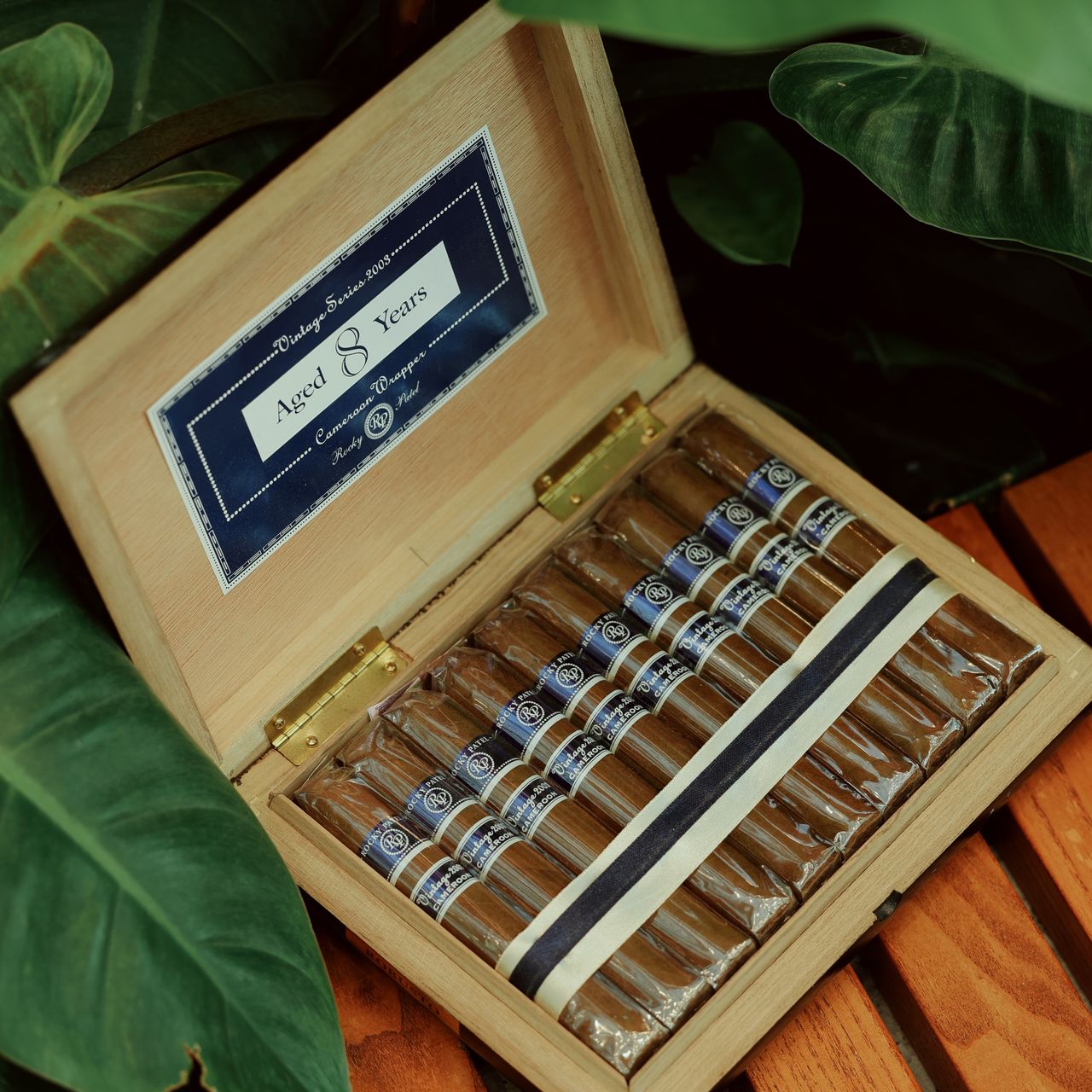 services-02 Open box displaying a collection of luxury vintage cigars nestled among green foliage.